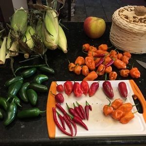 Meet your Posher, Margarita